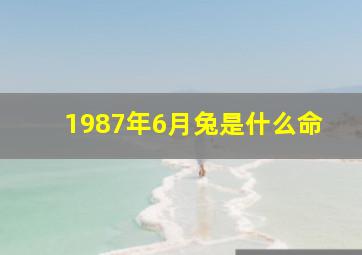 1987年6月兔是什么命