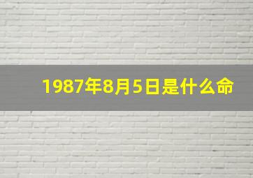 1987年8月5日是什么命