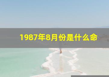 1987年8月份是什么命