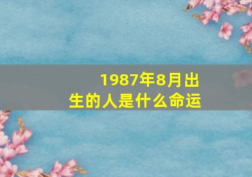 1987年8月出生的人是什么命运