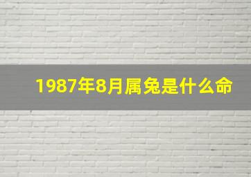 1987年8月属兔是什么命