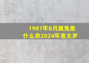 1987年8月属兔是什么命2024年害太岁