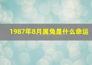 1987年8月属兔是什么命运