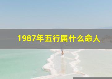 1987年五行属什么命人