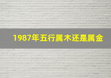 1987年五行属木还是属金