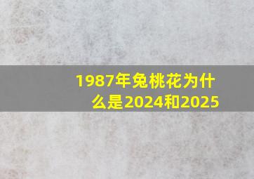 1987年兔桃花为什么是2024和2025