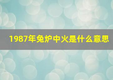 1987年兔炉中火是什么意思