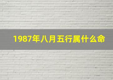 1987年八月五行属什么命