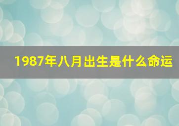 1987年八月出生是什么命运