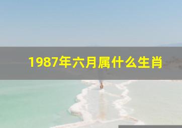 1987年六月属什么生肖