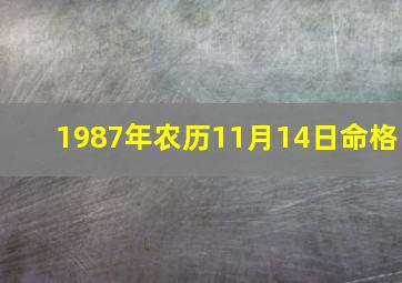 1987年农历11月14日命格