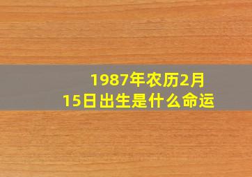 1987年农历2月15日出生是什么命运