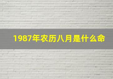 1987年农历八月是什么命