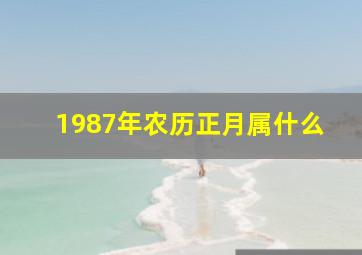 1987年农历正月属什么