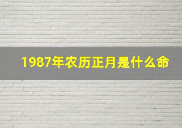 1987年农历正月是什么命