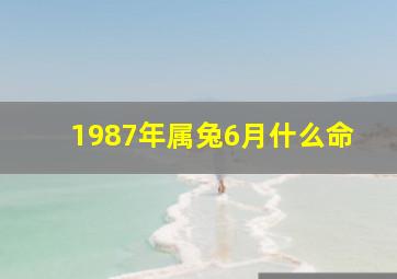 1987年属兔6月什么命