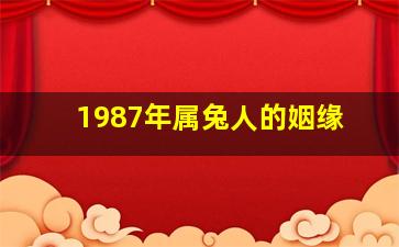 1987年属兔人的姻缘