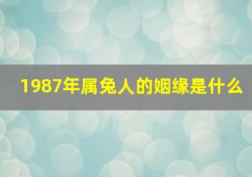 1987年属兔人的姻缘是什么