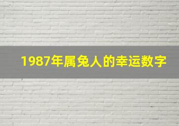 1987年属兔人的幸运数字