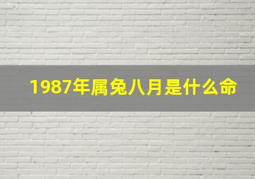 1987年属兔八月是什么命