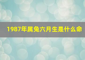 1987年属兔六月生是什么命