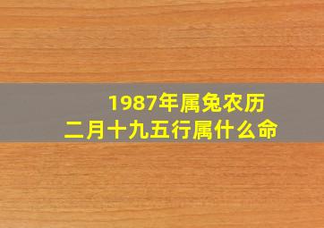 1987年属兔农历二月十九五行属什么命