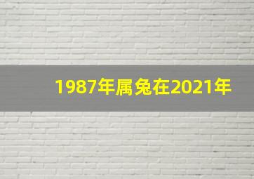 1987年属兔在2021年