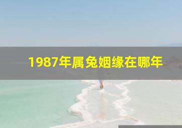 1987年属兔姻缘在哪年