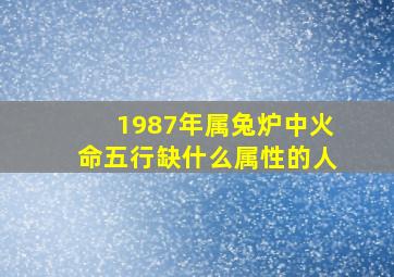 1987年属兔炉中火命五行缺什么属性的人