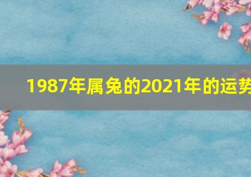 1987年属兔的2021年的运势