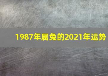 1987年属兔的2021年运势