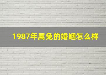 1987年属兔的婚姻怎么样