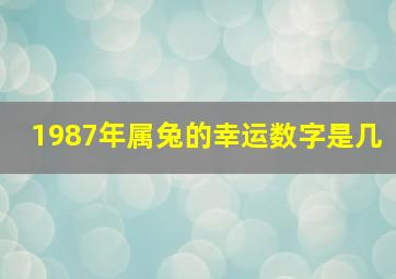 1987年属兔的幸运数字是几