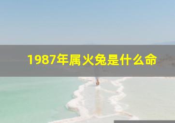 1987年属火兔是什么命