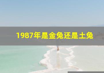 1987年是金兔还是土兔