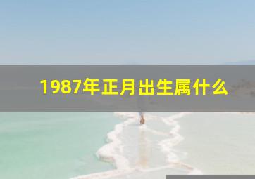 1987年正月出生属什么