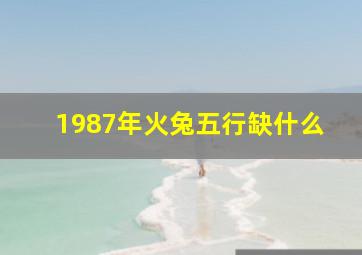 1987年火兔五行缺什么