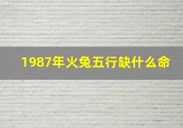 1987年火兔五行缺什么命