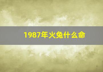 1987年火兔什么命