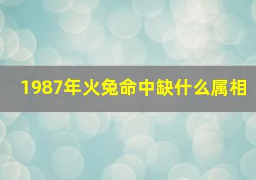 1987年火兔命中缺什么属相