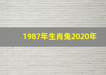 1987年生肖兔2020年