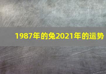 1987年的兔2021年的运势