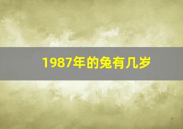 1987年的兔有几岁