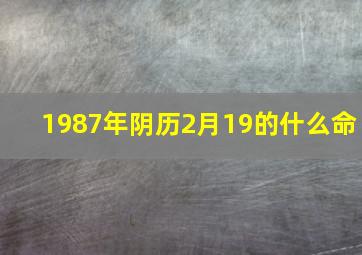 1987年阴历2月19的什么命