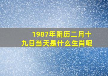 1987年阴历二月十九日当天是什么生肖呢