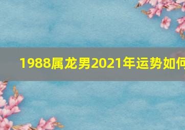 1988属龙男2021年运势如何