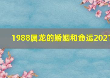 1988属龙的婚姻和命运2021