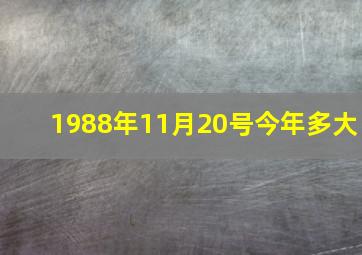 1988年11月20号今年多大