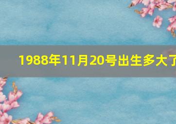 1988年11月20号出生多大了