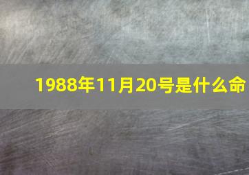 1988年11月20号是什么命